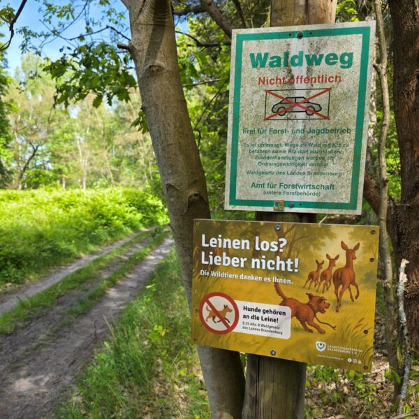 Hinweisschild "Leinen los?" 3er- Pack