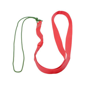 Wildbergehilfe Mufflon