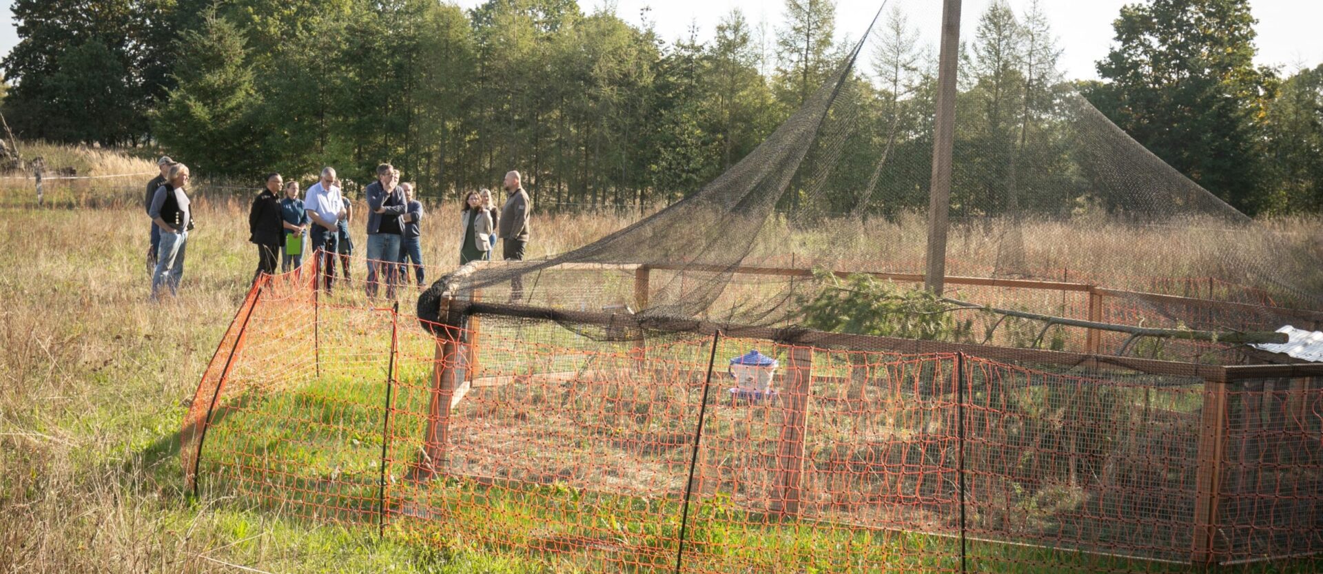 Neue Lebensräume für das Rebhuhn: In Oberhavel arbeiten Naturschutz, Landnutzung und Jägerschaft gemeinsam an der Aufwertung der Agrarlandschaft. Mit neuen Hecken und weiteren Lebensraummaßnahmen soll insbesondere die Wiederansiedlung des Rebhuhns unterstützt werden.